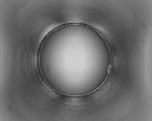 X0000113921326200910090928