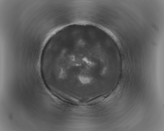 X0000113921327200910090928
