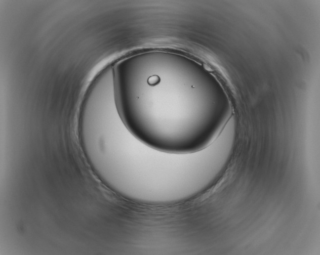 X0000113921328200910090928