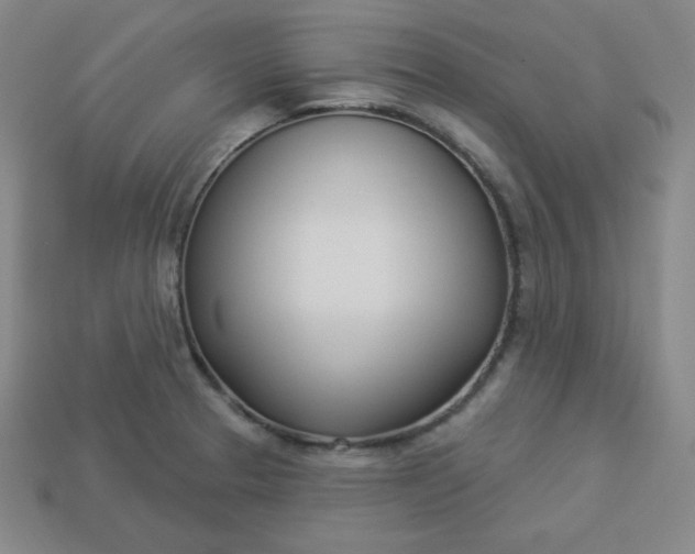 X0000113921329200910090928
