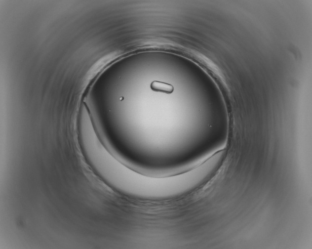 X0000113921330200910090928