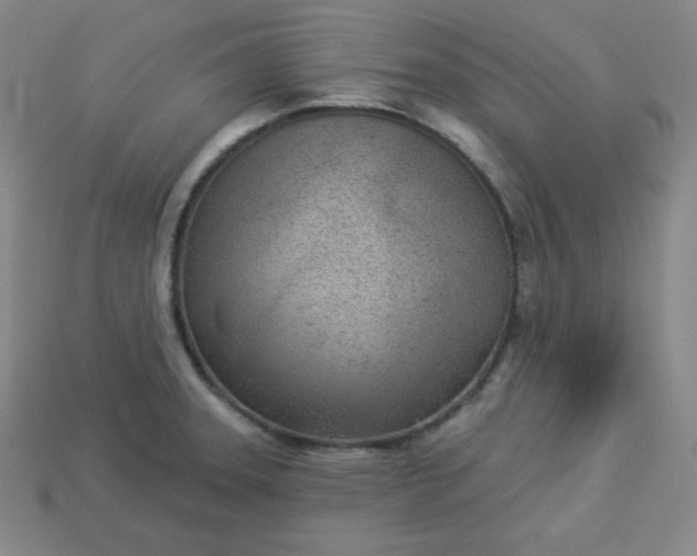 X0000113921331200910090928