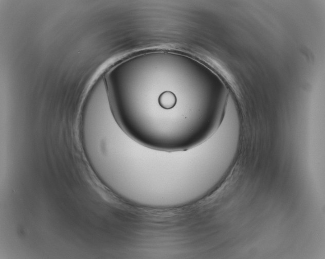 X0000113921332200910090928