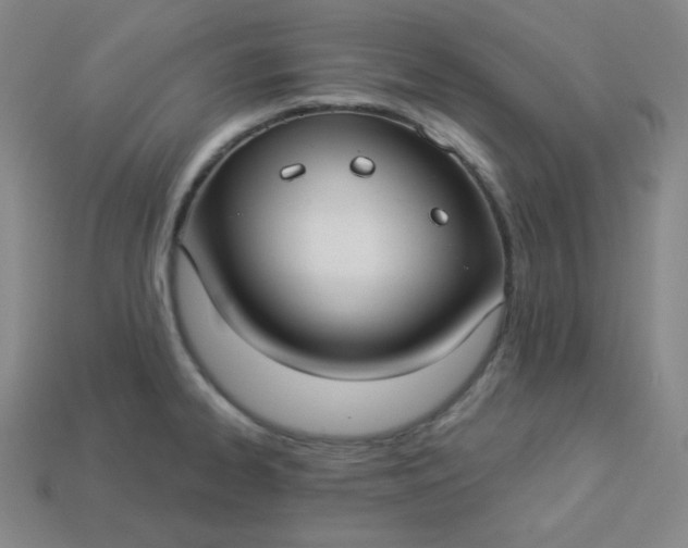 X0000113921334200910090928