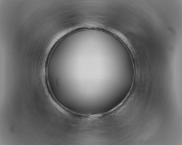 X0000113921335200910090928