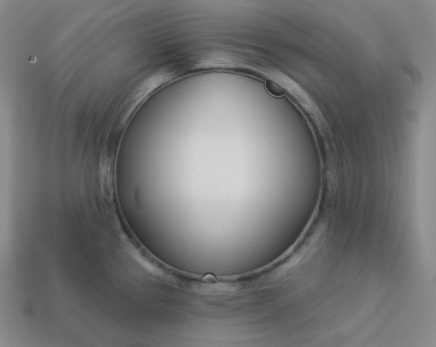 X0000113921337200910090928