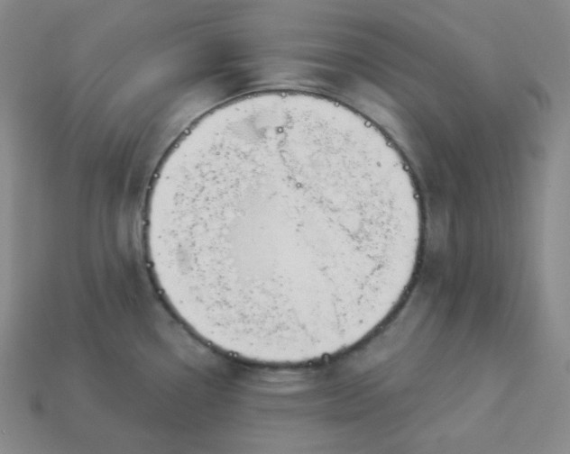 X0000113921338200910090928