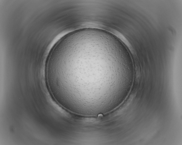 X0000113921339200910090928
