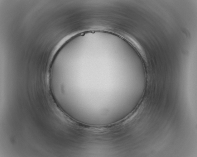 X0000113921340200910090928