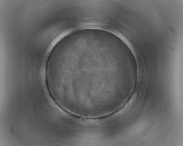 X0000113921341200910090928