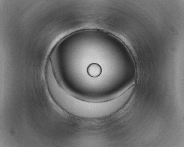 X0000113921342200910090928