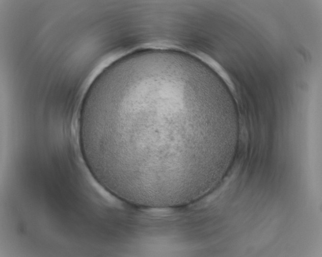 X0000113921343200910090928