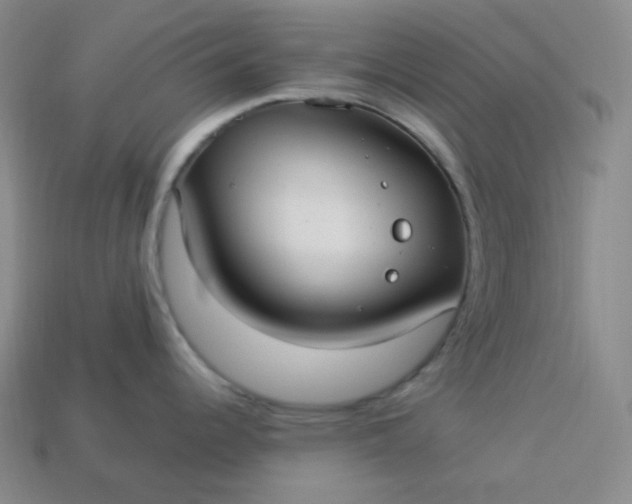 X0000113921344200910090928