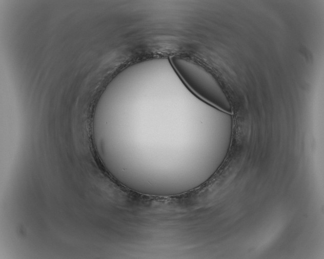 X0000113921345200910090928