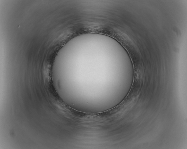 X0000113921346200910090928
