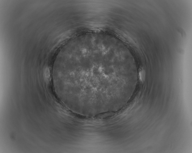 X0000113921347200910090928