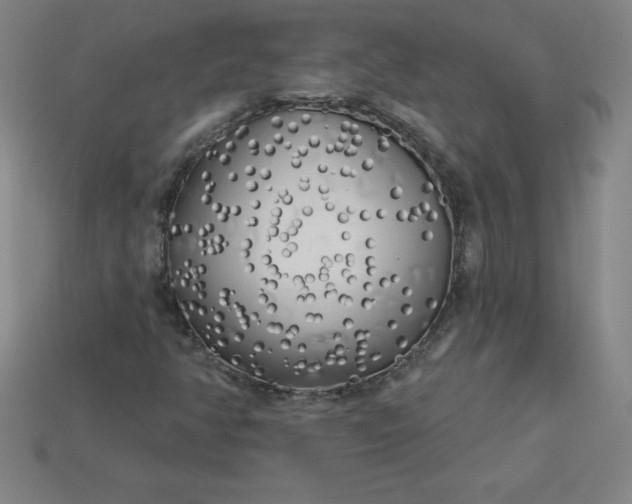 X0000113921350200910090928