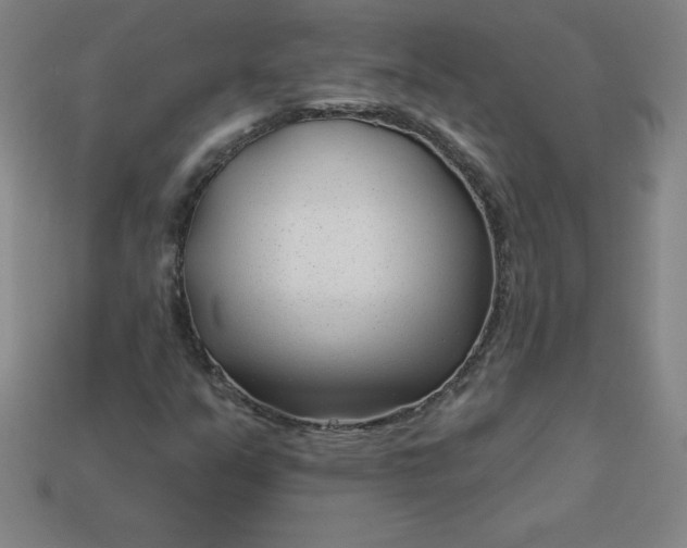 X0000113921351200910090928