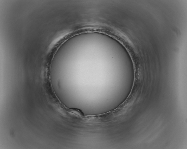 X0000113921352200910090928