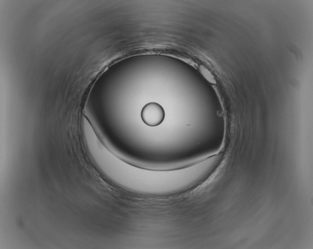 X0000113921353200910090928
