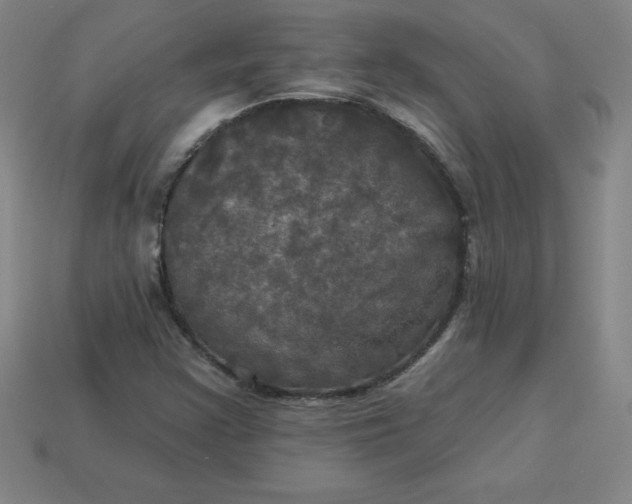 X0000113921355200910090928