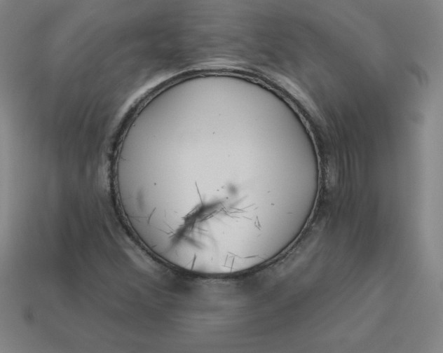 X0000113921356200910090928