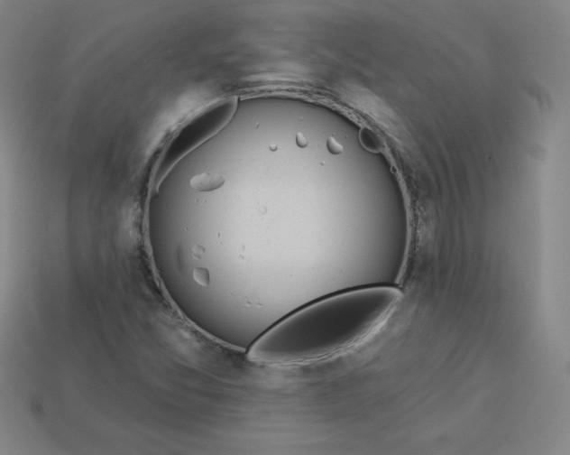 X0000113921357200910090928