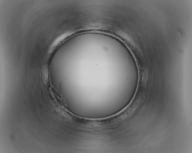 X0000113921358200910090928