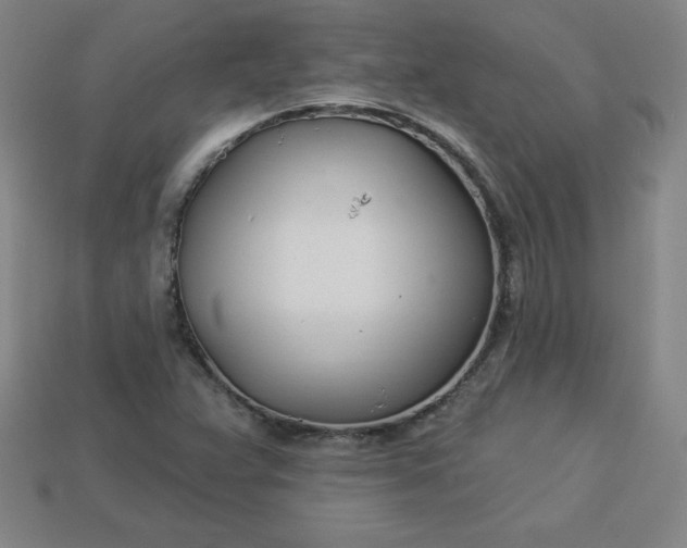 X0000113921359200910090928