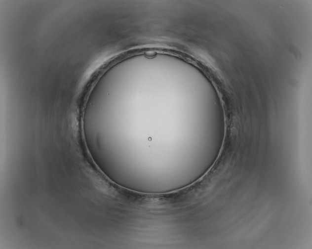 X0000113921360200910090928