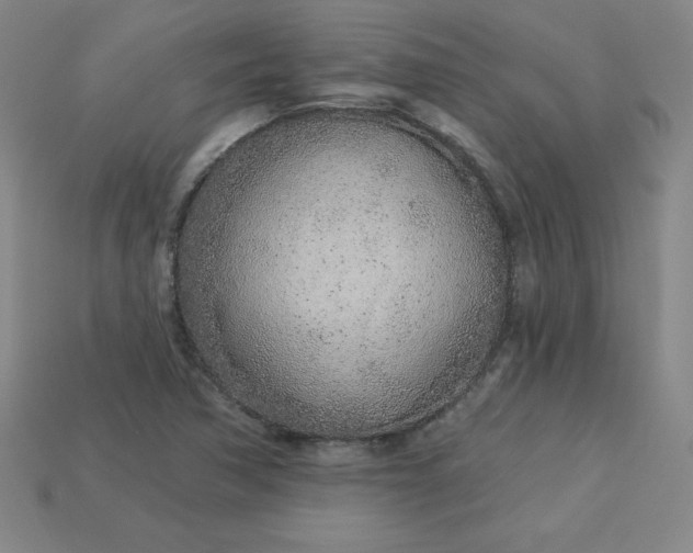 X0000113921362200910090928
