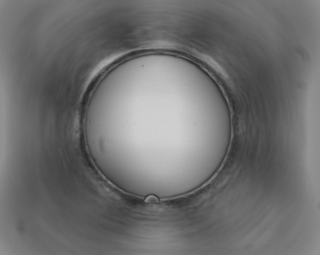 X0000113921364200910090928