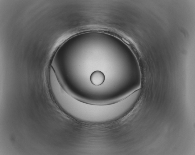 X0000113921365200910090927
