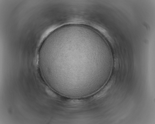 X0000113921366200910090927