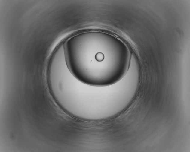 X0000113921368200910090927