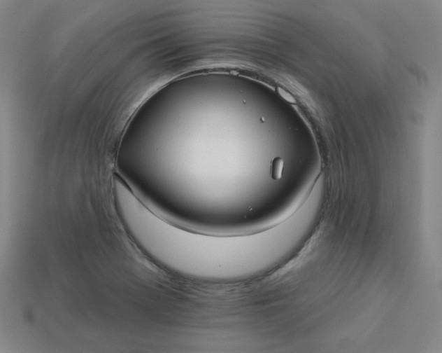 X0000113921369200910090927