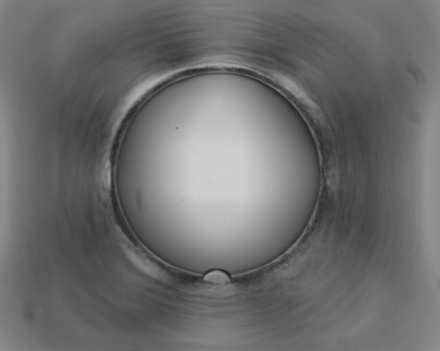 X0000113921372200910090927