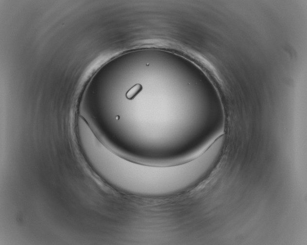 X0000113921373200910090927