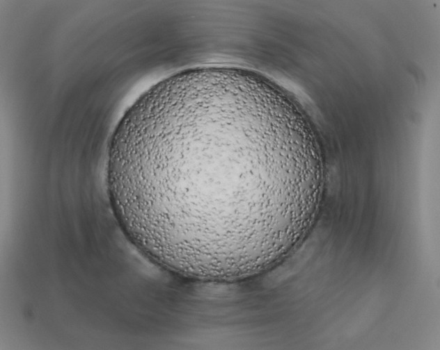 X0000113921374200910090927
