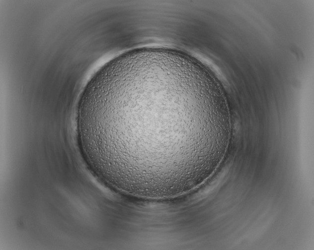 X0000113921375200910090927
