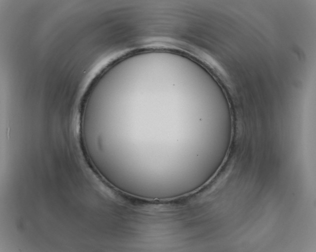 X0000113921376200910090927