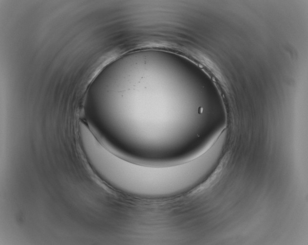 X0000113921377200910090927