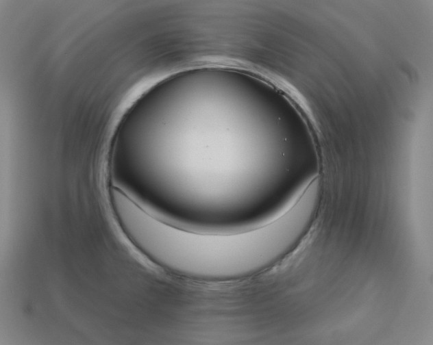 X0000113921381200910090927