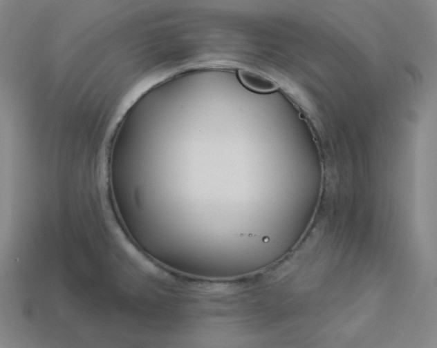 X0000113921382200910090927