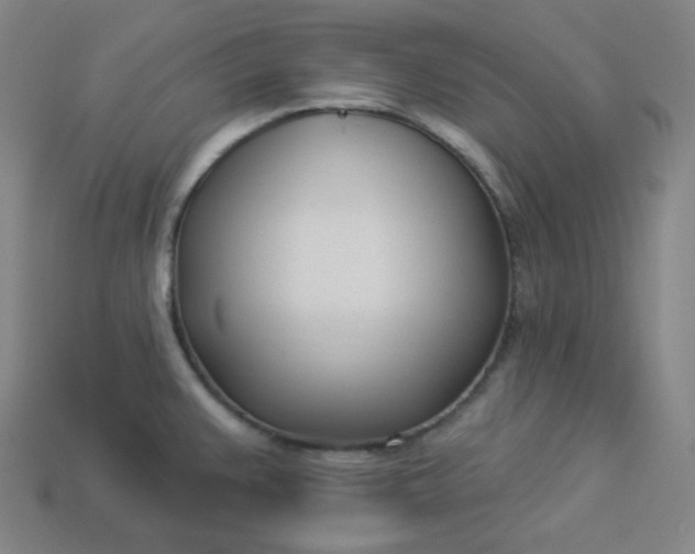 X0000113921383200910090927