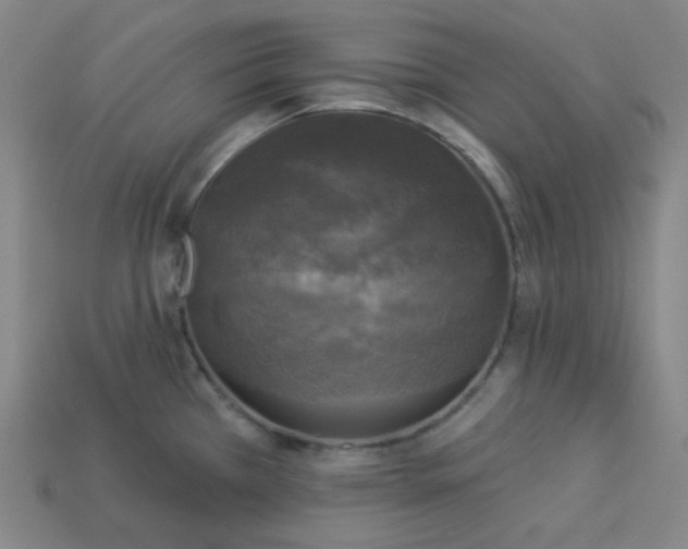 X0000113921385200910090927