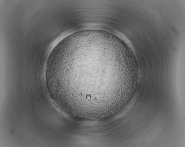X0000113921386200910090927