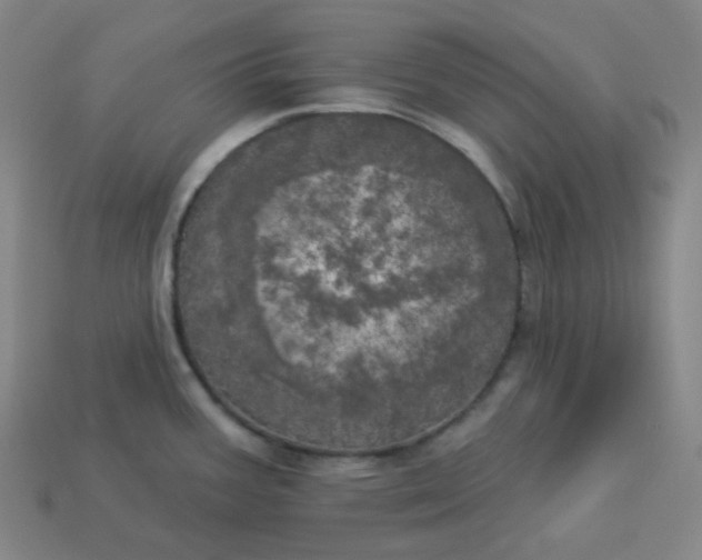 X0000113921387200910090927