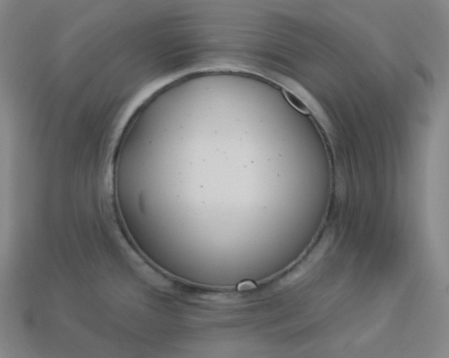 X0000113921388200910090927
