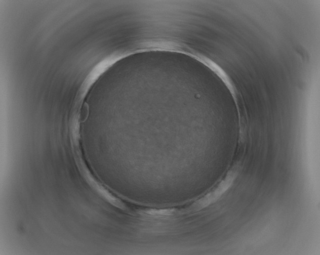 X0000113921389200910090927
